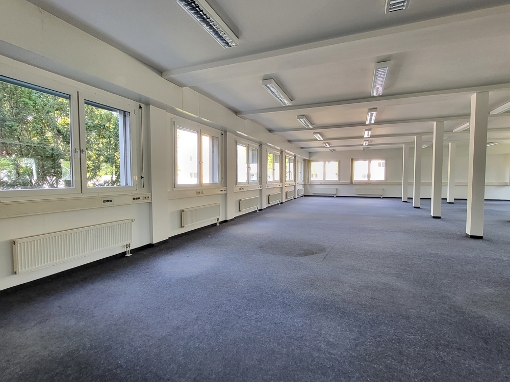Immobilien Lounge Regensburg GmbH - Youtube