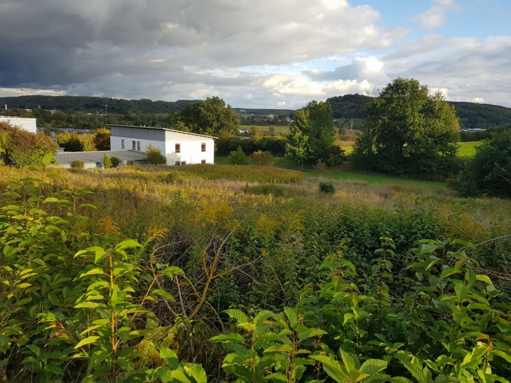 Gewerbegrund