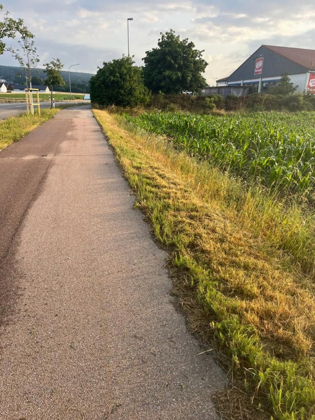 Gewerbegrund A93 Mitte