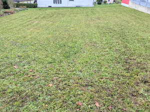 Gut geschnittener Bauplatz in ruhiger Lage