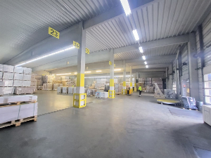 PROVISIONSFREI - Logistik-/Produktionshalle mit ca. 2.900 m² Freifläche