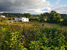Gewerbegrund