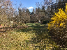Garten - Idylle pur ilr